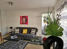 Grand studio de 33m² à 300m des plages