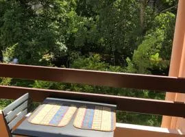 Appartement 2 pièces vue sur la rivière de l'Aven et le Bois d Amour