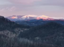 Cabanuta Fara Fite, allotjament vacacional a Proviţa de Jos