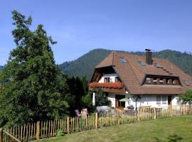 SchwarzWild - Ferienwohnung und Ferienzimmer, hotel barato en Baiersbronn
