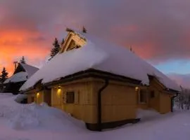 Koča Žafran - Velika planina