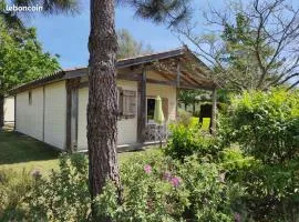 Chalet rénové, environnement très calme, piscines intérieure et extérieure chauffées, Bord du lac de Biscarosse Parentis