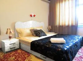 Bishkek City Apartments