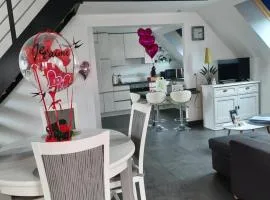 Au bonheur des hirondelles