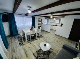 Casa Radu, hotel in Cîrlibaba