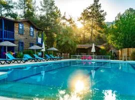 olympos forest house