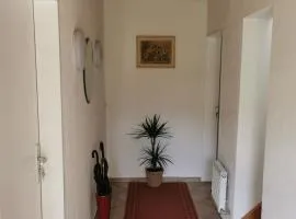 La Casa Suciu