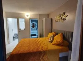 Studio havre aux hibiscus avec piscine proche de la mer