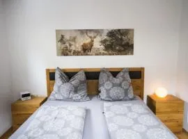 Apartment Mayerhofer