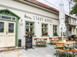 Penzion a bistro Starý kopec