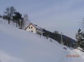 charming house with beautiful landscape