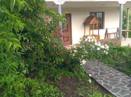 AMOJ B&B and Guest house, allotjament vacacional a Alaverdi