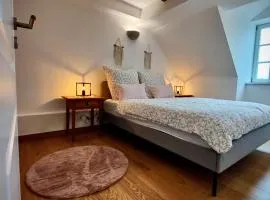 One Apartment's Albertsplatz - Design, Altbau & Zentral