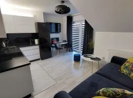 Apartament Kruklanki