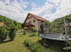 Casa Cecilia, vacation rental in Costeşti