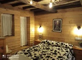 Apartamentos Caleros