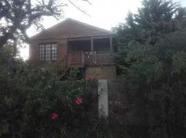 Emerald Hill Cabin