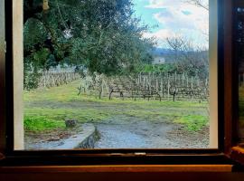 La finestra sul vigneto: Castiglione di Sicilia'da bir ucuz otel