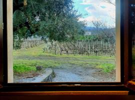 La finestra sul vigneto, chalet a Castiglione di Sicilia