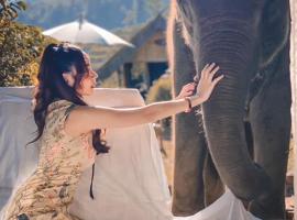 3 Pok Maewang jinxiang Gold elephant park, hišnim ljubljenčkom prijazen hotel v mestu Ban Mae Sapok Noi