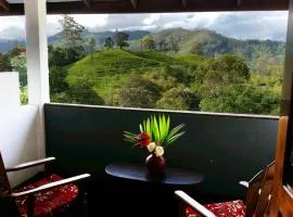 Lakshmis Hotel Ella
