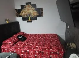 Apartamento vacacional en Medellín central privado y tranquilo
