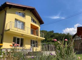 Villa Rosa, cheap hotel in Krayni Dol