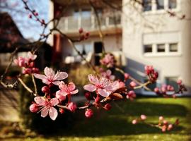 Ferienwohnung im Aalbachtal - Uettingen bei Würzburg, ξενοδοχείο με πάρκινγκ σε Uettingen