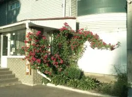 motel Pid Strihoyu