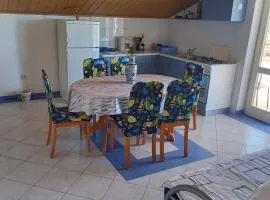 Apartmani Branka