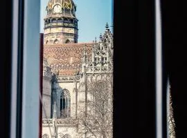 Roth´s Apartment