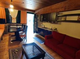 Traditional cozy apartments in Livadi Parnassos, apartamento em Kalívia