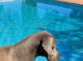 Los 10 mejores hoteles que admiten mascotas de El Bosque, España |  Booking.com