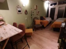 Gastenverblijf Nummer 1 Sommelsdijk