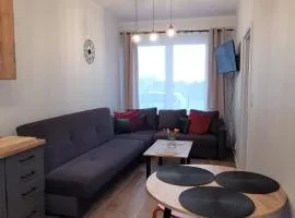 Nest Apartament