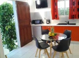 Chaleureuse maison au Moule avec piscine partagée