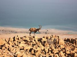 Ein Gedi Rooms Neve Zohar, hotel v destinaci Neve Zohar