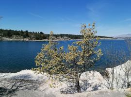 Robinson's house, Hotel in Kruševo