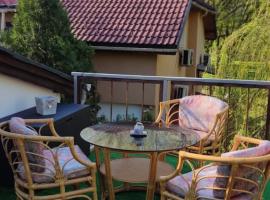 Мансардна Никол, holiday rental in Vidin