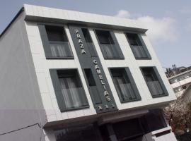 Praza Camelias，位于萨里亚的酒店