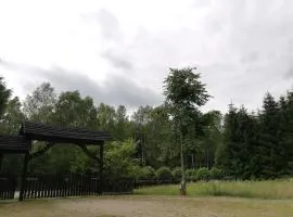 Agroturystyka Leśniczówka Więckowo-noclegi