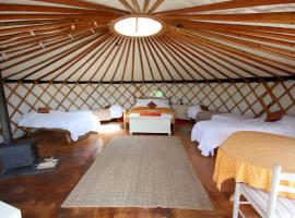 Chestnut Yurt, accommodation in Fernhurst