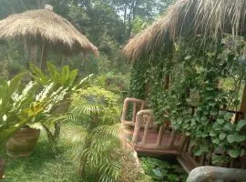 Sigiriya Nature View home Stay