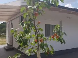 Erdőszéli apartman