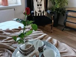 Apartamenty Holender House Choczewo 6 plaż w zasięgu