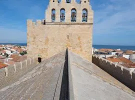 Ref LS64: Maison 4-6 pers Les Hameaux de Camargue