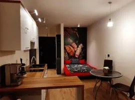 Apartament pod Szyndzielnią, Dębowiec