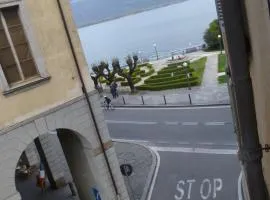 Nido del Tadini