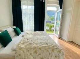 Villa Rheinblick