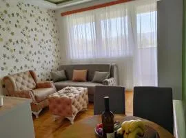 Apartman Zelenika